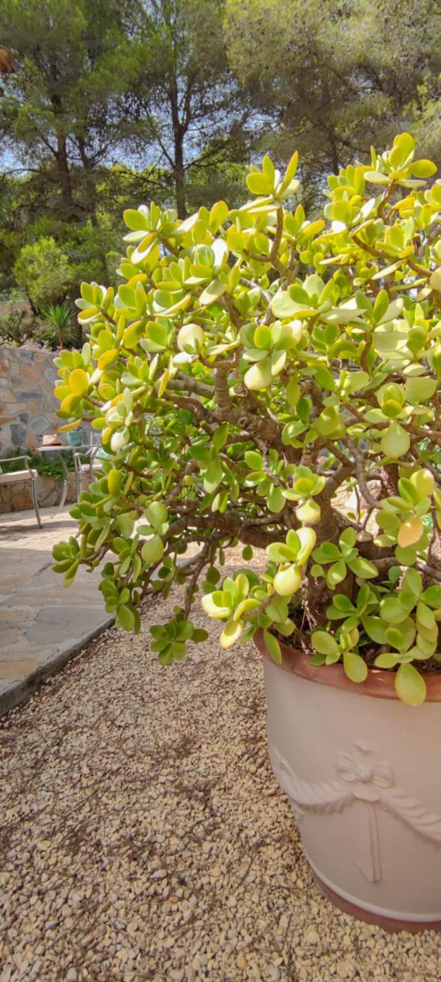 Azzurra Home-charming Property- For 6 Guests Villa Benissa