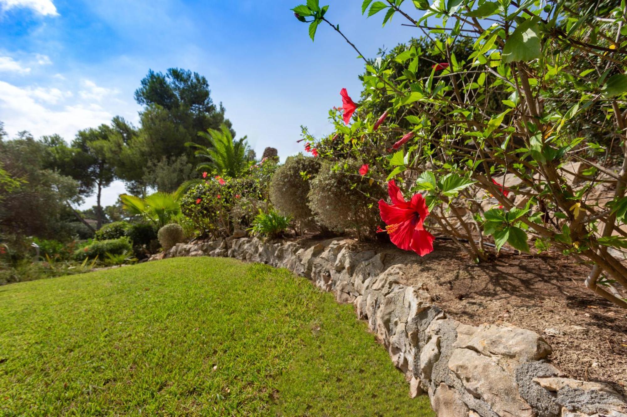 Azzurra Home-charming Property- For 6 Guests Willa Benissa