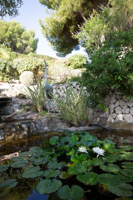 Azzurra Home-charming Property- For 6 Guests Benissa