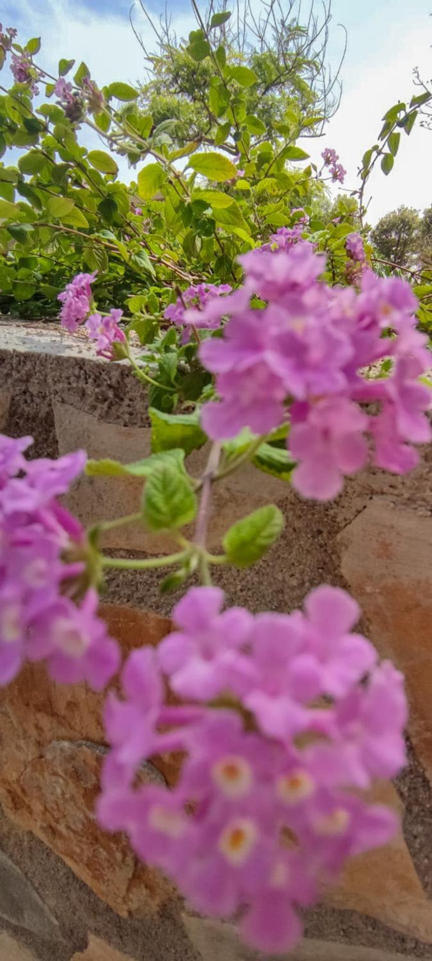 Azzurra Home-charming Property- For 6 Guests Villa Benissa